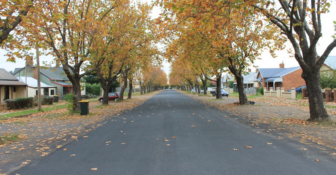 autumn