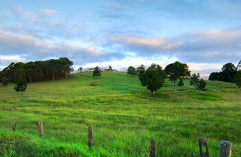 Capalaba